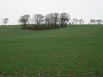 d-F3.jpg