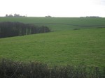 d-F6.jpg