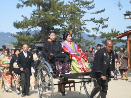 miyajima-2.jpg